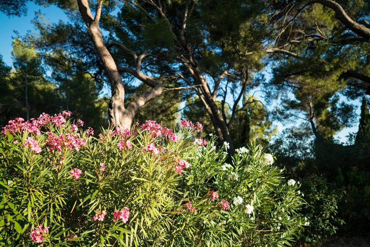 Domaine De Saint Clair Panzió Aix-en-Provence Kültér fotó