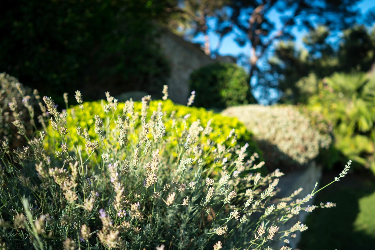 Domaine De Saint Clair Panzió Aix-en-Provence Kültér fotó