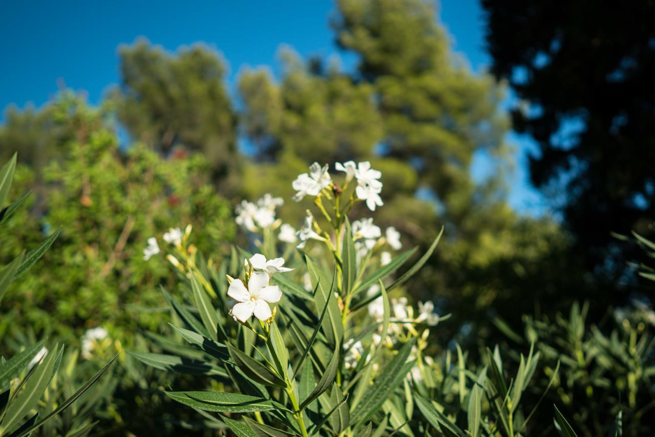 Domaine De Saint Clair Panzió Aix-en-Provence Kültér fotó